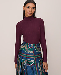 Petite Ribbed Turtleneck Sweater carousel Product Image 1