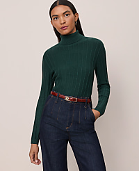 Ribbed Turtleneck Sweater carousel Product Image 1
