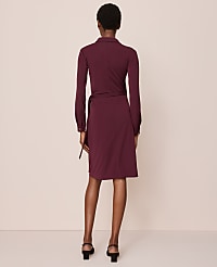 Collared Knit Wrap Dress carousel Product Image 2
