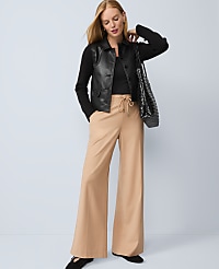 Petite Wide-Leg Jogger Pant carousel Product Image 1