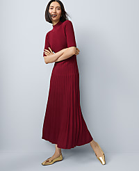 Petite Mock Neck Pleated Sweater Dress carousel Product Image 1