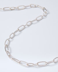 Chain Link Necklace carousel Product Image 2