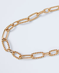 Chain Link Necklace carousel Product Image 2