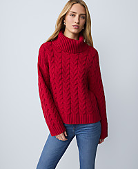 Weekend Cable Turtleneck Sweater carousel Product Image 2