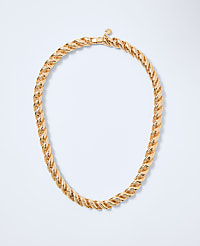 Metal Link Necklace carousel Product Image 1
