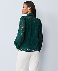 Petite Lace Blouse carousel Product Image 2