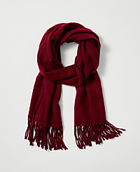 Weekend Collection Fringe Scarf carousel Product Image 1