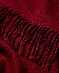 Weekend Collection Fringe Scarf carousel Product Image 2