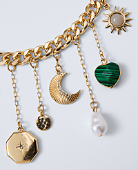 Charm Statement Necklace carousel Product Image 2