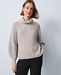 Ribbed Turtleneck Sweater carousel Product Image 1