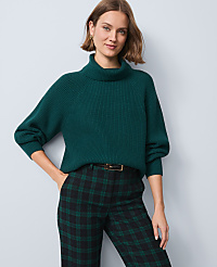 Ribbed Turtleneck Sweater carousel Product Image 1