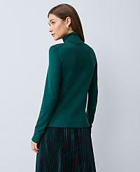 Essential Turtleneck Sweater carousel Product Image 2