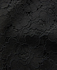 The Jayne Trouser in Lace carousel Product Image 5