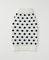 Dotted Dog Sweater carousel Product Image 2