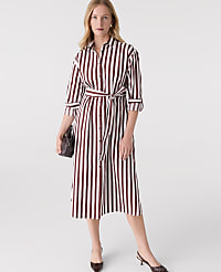 Striped Collared Midi Shirtdress carousel Product Image 1