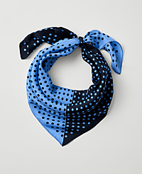 Dotted Silk Scarf carousel Product Image 1
