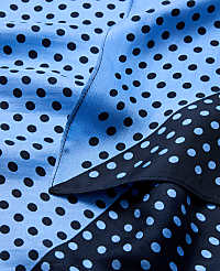 Dotted Silk Scarf carousel Product Image 2