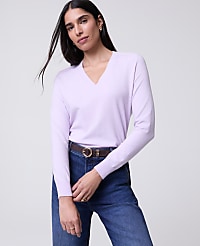 V-Neck Sweater carousel Product Image 1