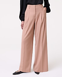 The Pleated Wide-Leg Pant carousel Product Image 2