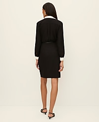 Belted Sheath Dress carousel Product Image 2