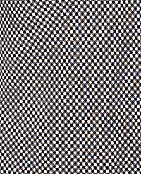 Gingham Bias Midi Slip Skirt carousel Product Image 5