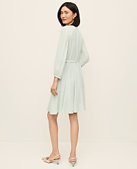 Belted Flare Dress carousel Product Image 2