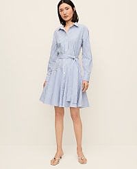 Striped Shirtdress carousel Product Image 1