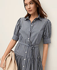 Petite Striped Shirtdress carousel Product Image 3