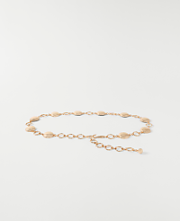 Metal Chain Belt carousel Product Image 1