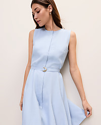 Petite Belted Crew Neck Flare Dress carousel Product Image 1