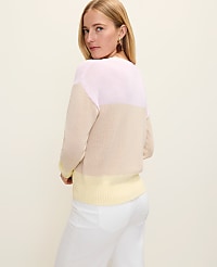 Petite Colorblock Crew Neck Sweater carousel Product Image 2