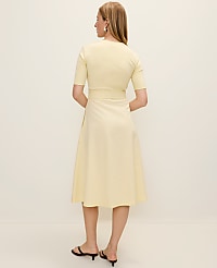 Petite Mixed Media Flare Midi Dress carousel Product Image 2