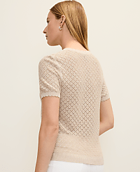 Shimmer Pointelle Modern Sweater Tee carousel Product Image 2