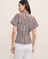 Striped Pleated Blouse carousel Product Image 2