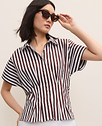 Striped Pleated Blouse carousel Product Image 1