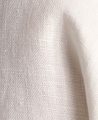 Haven Well Within Heavyweight Linen Blazer carousel Product Image 5