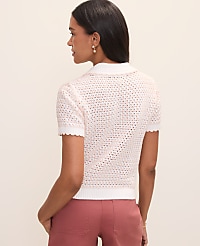 Weekend Texture Stitch Polo Sweater carousel Product Image 2