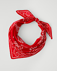 Mixed Shell Print Silk Scarf carousel Product Image 1