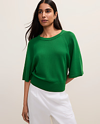 Petite Raglan Crew Neck Sweater carousel Product Image 1