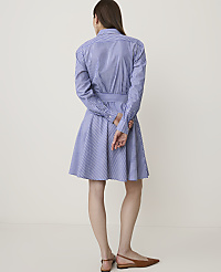 Petite Striped Belted Collared Shirtdress carousel Product Image 2