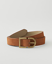 A rust-colored suede belt with a brass buckle lies on a plain, light gray background. carousel Product Image 1