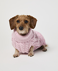A wire-haired dachshund in a pink cable-knit sweater sits against a plain white background. carousel Product Image 1