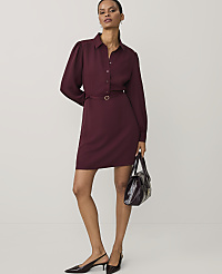 A woman wearing a burgundy shirt dress and black heels stands against a plain, light-colored background. carousel Product Image 1