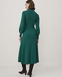 A woman wearing a long-sleeved green ribbed knit dress and dark brown boots stands against a plain white background. carousel Product Image 2
