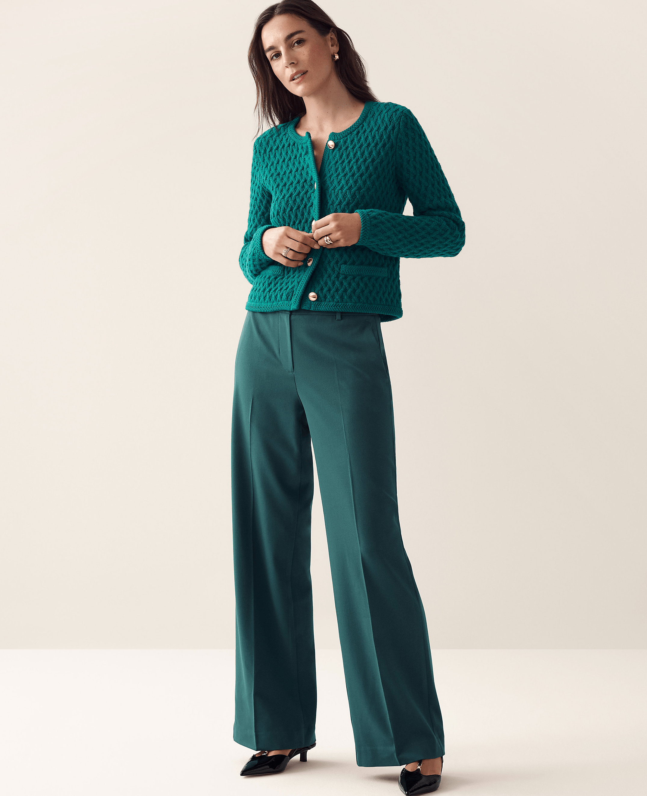 The Petite Perfect Wide-Leg Pant