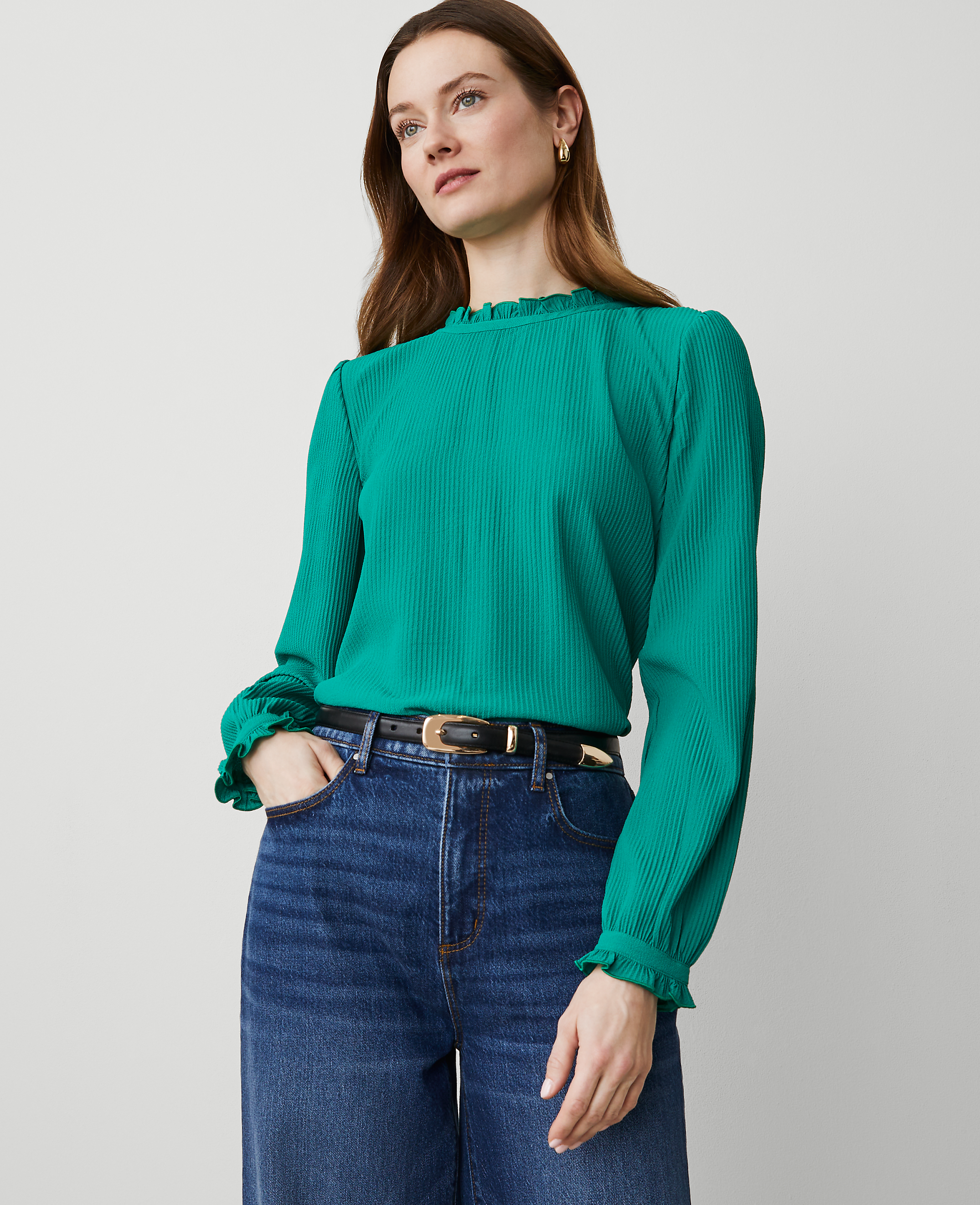 Petite Ruffle Blouson Sleeve Popover