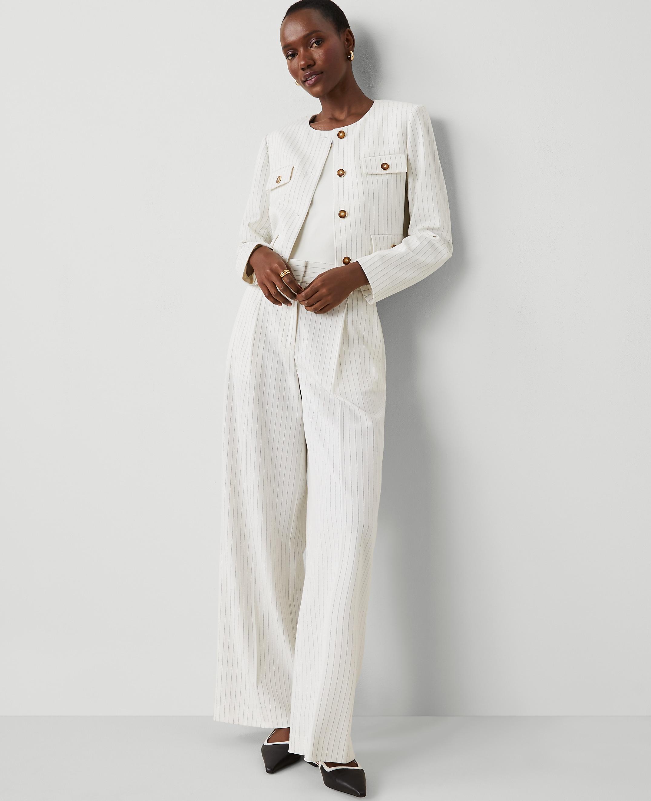 The Pleated Wide-Leg Pant in Pinstripe
