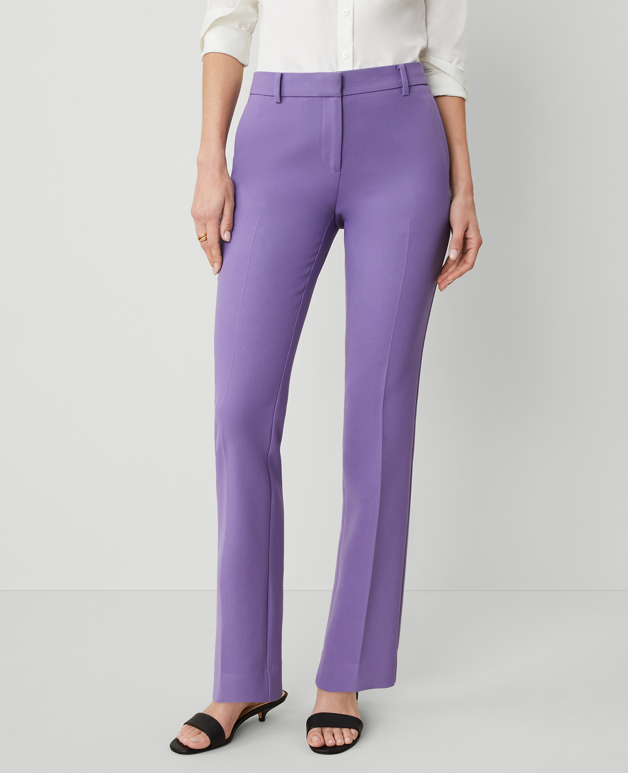 The Sophia Pant &mdash;&nbsp;Curvy Fit