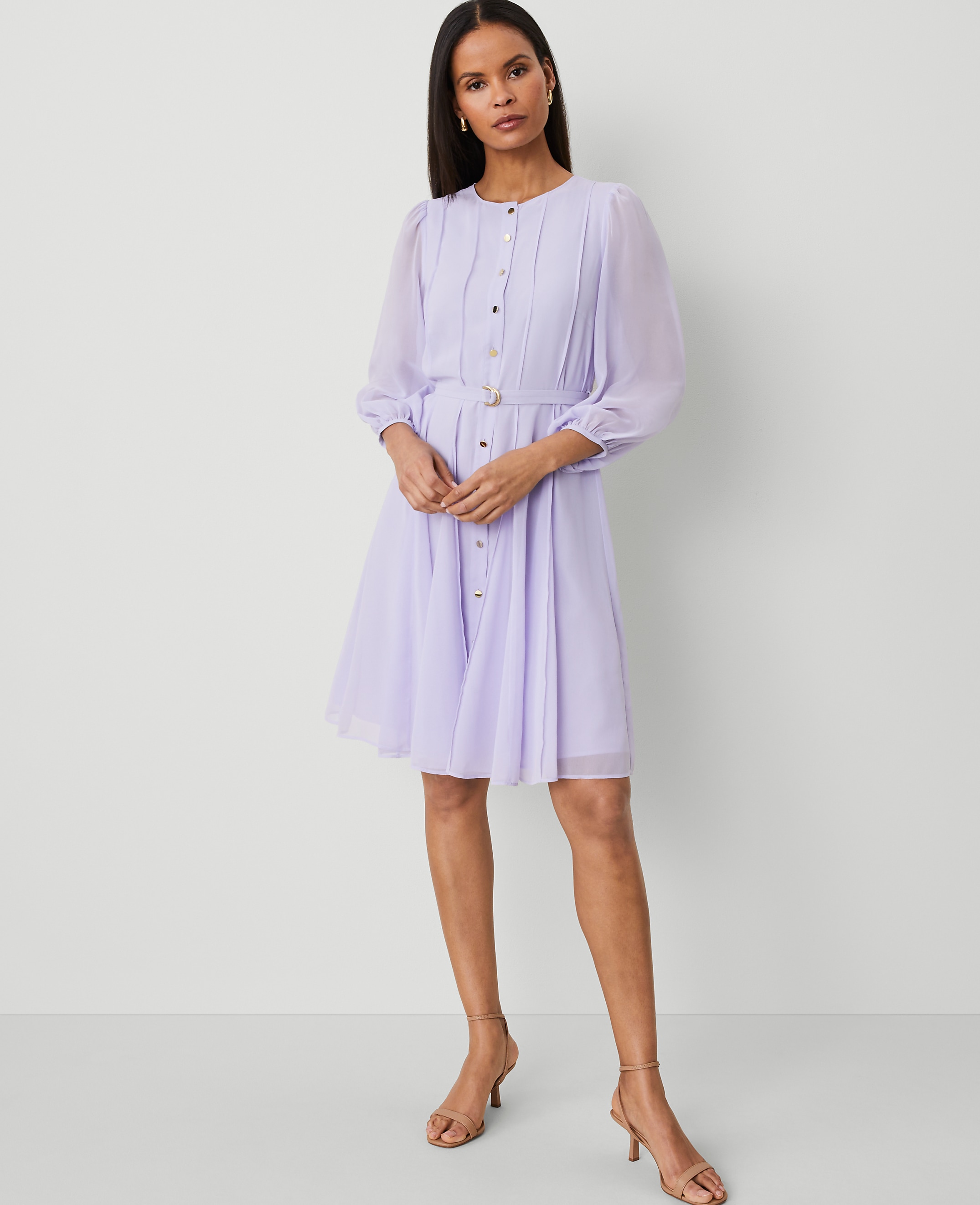 Petite Seamed Flare Shirtdress