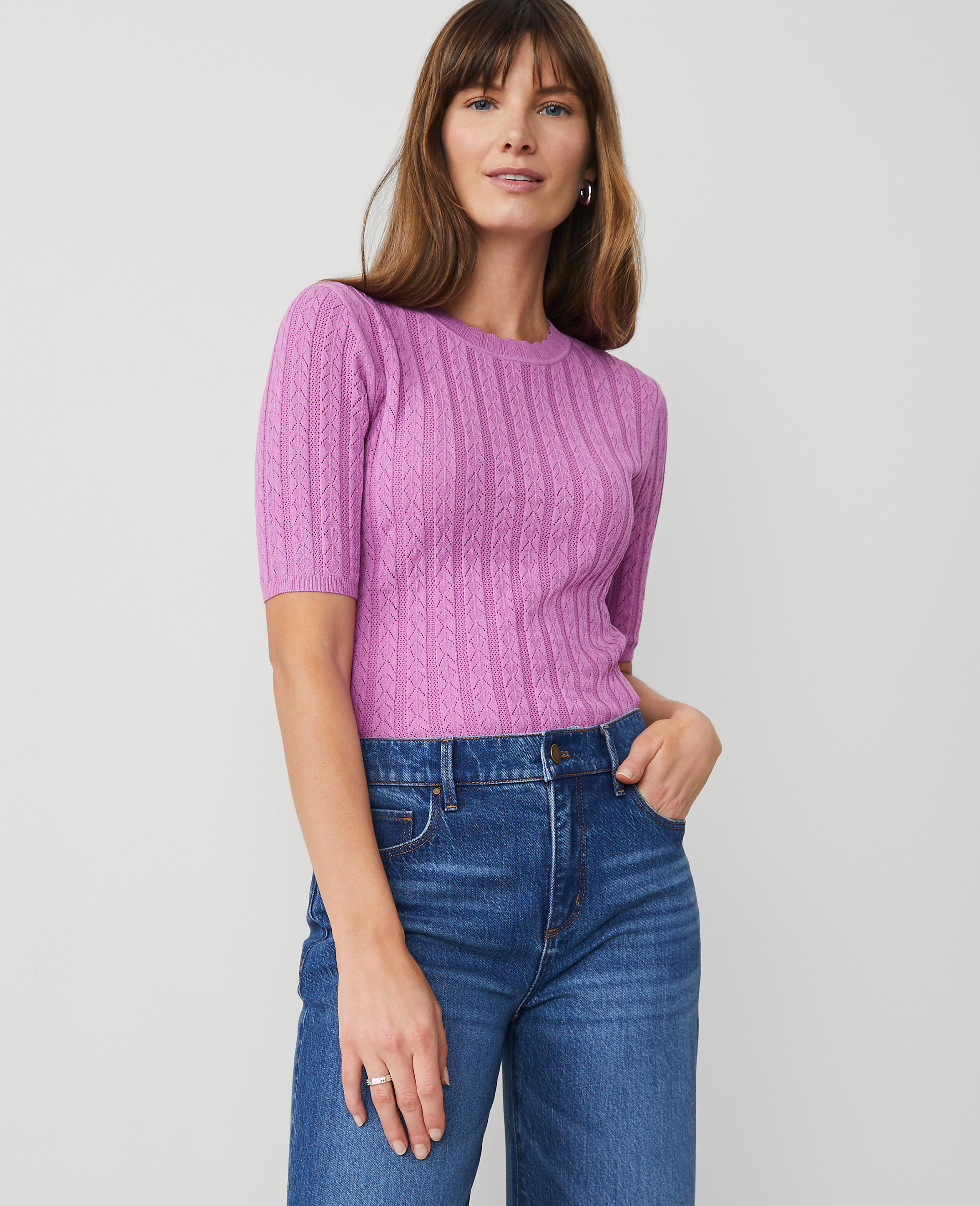 Petite Scalloped Pointelle Sweater